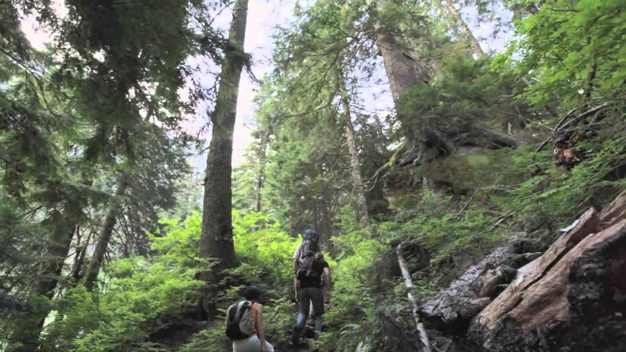 Lynn Headwaters Regional Park Profile