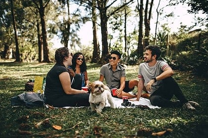 Best parks in Montreal