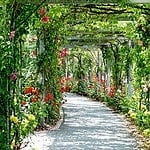 park