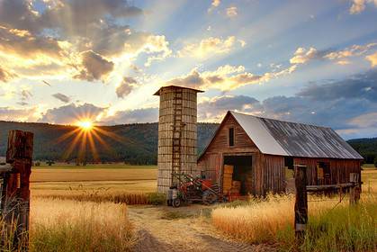 apple barn