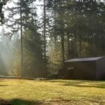 Sunlit pathway and cabin in Burnaby Central Park with trees.