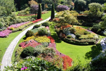 Sunlit Butchart Gardens showcasing colorful blooms in Victoria, BC.