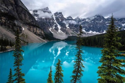 Turquoise lake with pine trees in Jasper National Park.