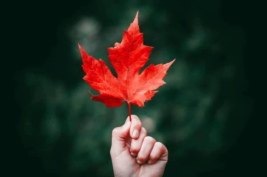 Bright red maple leaf held in hand, symbol of Canada.