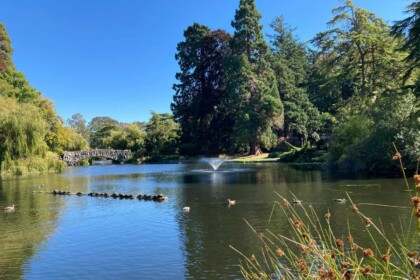 Beacon Hill Park