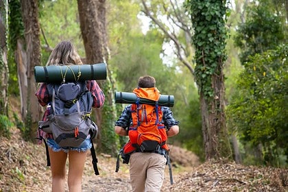back view backpackers walking mountainous trail caucasian hikers traveler carrying backpacks hiking forest together backpacking tourism adventure summer vacation concept