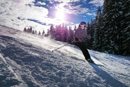 Skier descending sunlit slope with pine trees