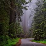 awenda provincial park