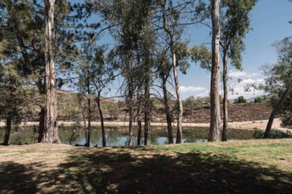 Tranquil fishing spot at Yucaipa Regional Park with trees