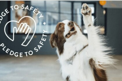 Dog raising paw at Dogtopia Calgarys safety pledge sign.