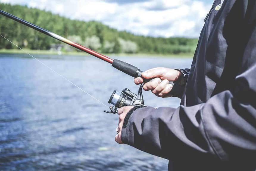 Mastering the Art of Lake Trout Fishing