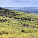 Scenic view of Grasslands National Park, Canada.