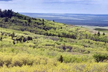 Scenic view of Grasslands National Park, Canada.