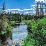 Scenic view of a lush stream at Narrow Hills Provincial Park, Saskatchewan.