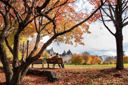 Couple enjoying autumn scenery in a park with colorful leaves.