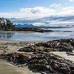 Scenic Tofino beach with forested islet and mountains.