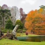Scenic autumn foliage by serene pond in Turkey Point Park.
