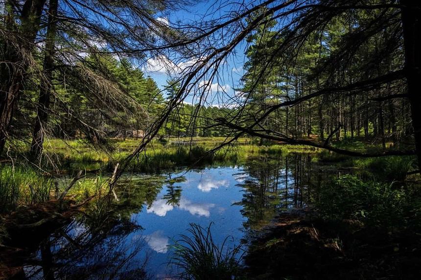 Serene Hardy Lake Provincial Park forest landscape with reflective water.