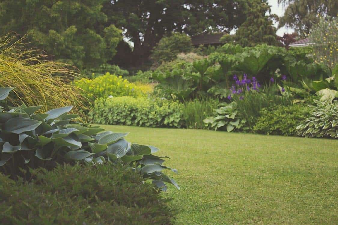 Garden with large green space