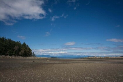 Serene Newcastle Island Beach Landscape