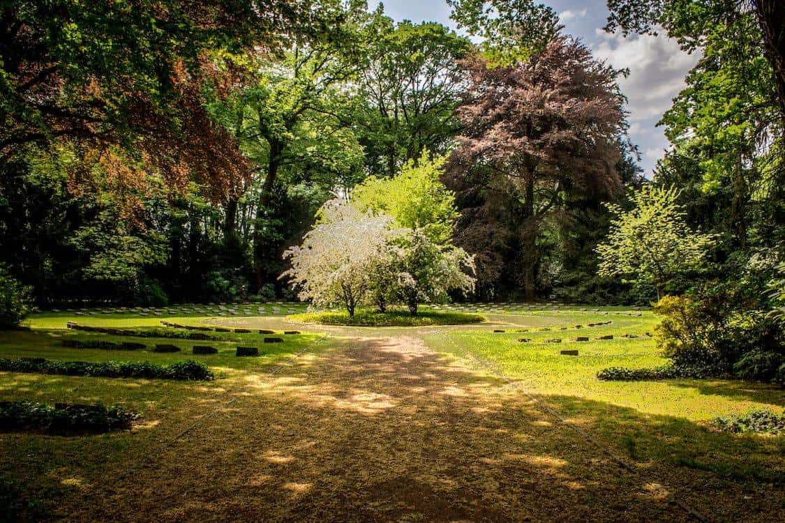 Serene pathway in lush Ottawa botanical garden
