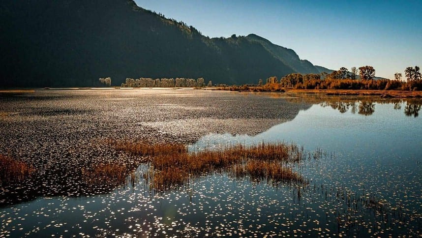 Serene morning at Pitt-Addington Marsh with mountain reflections.