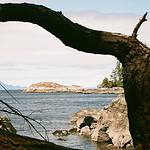 Scenic view at Port Burwell Provincial Park with trees and lake.