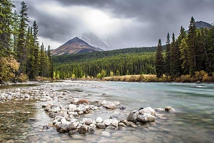 Scenic River in Banff National Park with Forest and Mountain Background