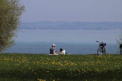 Springtime lakeside picnic scene with blooming flowers