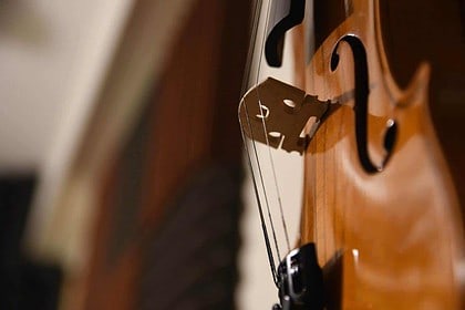 Elegant violin close-up showcasing classical music ambiance.