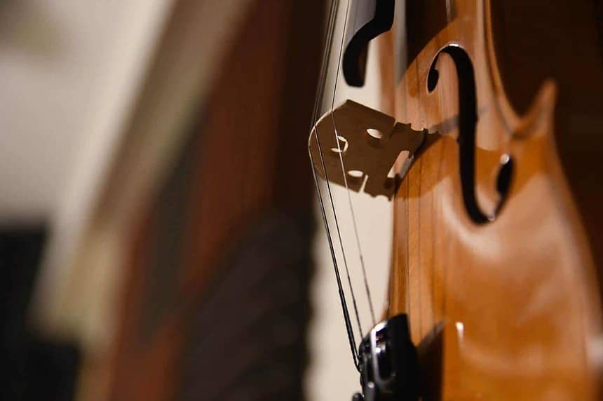 Elegant violin close-up showcasing classical music ambiance.