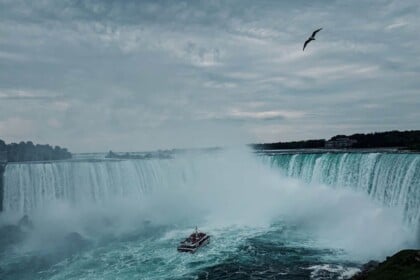 Misty Niagara Falls with Tour Boat and Flying Bird