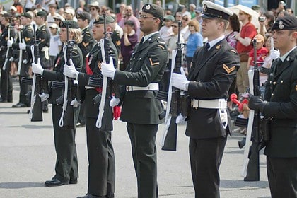 Uniformed soldiers standing in formation during a military parade.