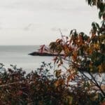 Scenic view of Nova Scotia coastline through autumn foliage.