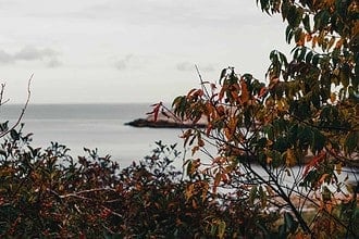 Scenic view of Nova Scotia coastline through autumn foliage.