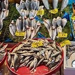 Variety of fresh fish for sale at Istanbul market.