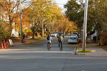 interesting things to do in halifax