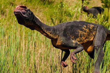 Prehistoric dinosaur exhibit at Montreals Lost Kingdoms attraction.