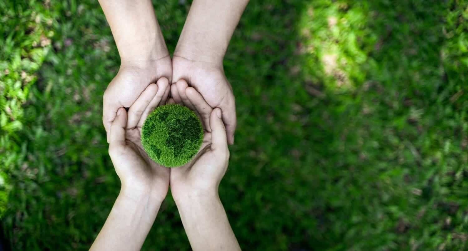 Hands nurturing young tree, symbolizing environmental care and sustainability.