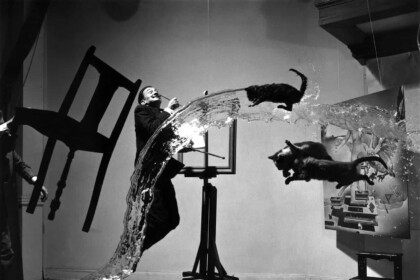 Surrealist Salvador Dalí Artwork Display