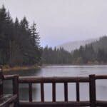 Misty Deer Lake view from wooden deck, Newfoundland.
