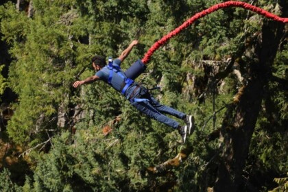 Thrilling bungee jump over lush forest.