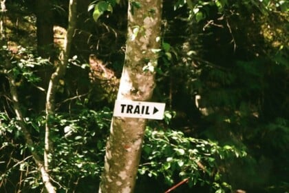 Trail sign on tree at Short Hills Provincial Park.