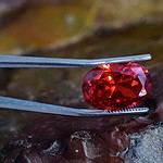 Tweezers holding a red gemstone, possibly ruby, against a natural backdrop.