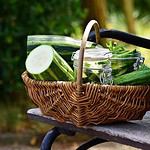 Fresh zucchini in a basket on a park bench.