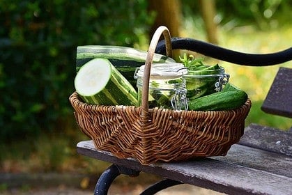 Fresh zucchini in a basket on a park bench.