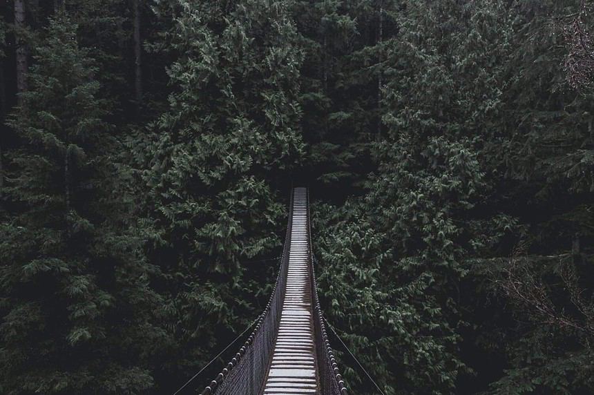 Scenic Kananaskis suspension bridge amidst lush forest.