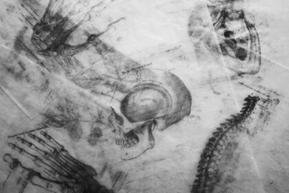 Anatomy art sketch with bones and spinal column drawing.