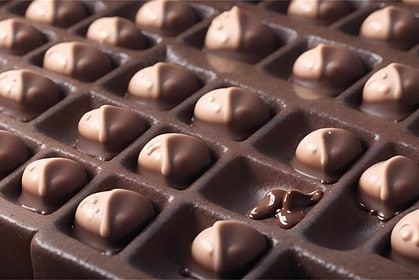 Assorted chocolate bars with nuts close-up.