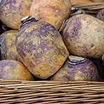 rutabagas in a basket